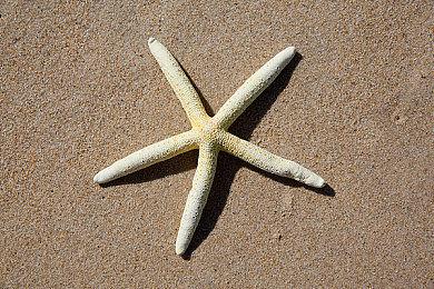 《刀剑乱舞无双》第二部队介绍演示：“鯰尾藤四郎”